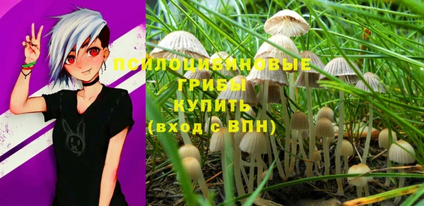 стаф Нефтекумск